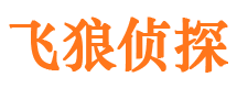 崇信市侦探公司